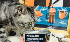 曼赤肯全价猫用主食罐好吗