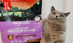 欧格仕猫粮是个什么水平