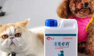 猫狗消毒液能用在人的房间消毒