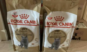 英国猫粮品牌排行