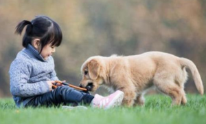 宠物狗对小孩子有影响吗
