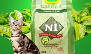 n1猫砂多少钱