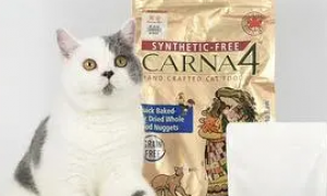 加卉猫粮和渴望猫粮哪个好