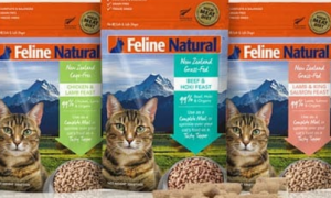 feline natural属于什么档次