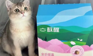酥醒猫粮是国产猫粮吗