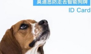 莫迪思宠物产品英文介绍