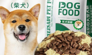 日本柴犬狗粮怎么选