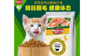 湿鼻子猫粮怎么没有卖了呢