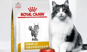 皇冠猫粮是哪个国家的