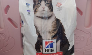 希尔斯猫粮是高端猫粮吗