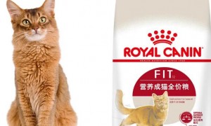 皇冠猫粮和皇家猫粮