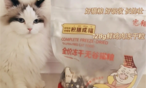 宽幅猫粮是国产的吗