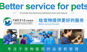 北京市最权威的宠物医院