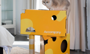 如何用纸箱子做猫爬架