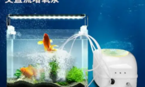 小鱼缸增氧机怎么安装