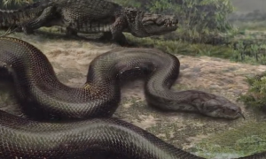 远古最可怕的三大巨蛇