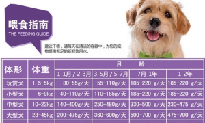 小狗体重和狗粮的比例