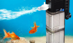 鱼缸过滤泵可以增氧吗