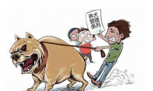 上海市烈性犬禁养名单