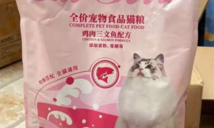最便宜的猫粮多少钱一斤