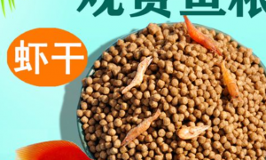 中国十大观赏鱼粮品牌