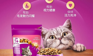 伟嘉猫粮多少钱一斤