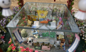 北京正规的宠物殡葬有哪些
