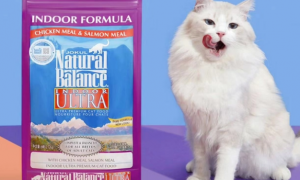 国产十大放心猫粮品牌排行榜