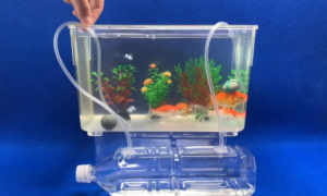 如何自制鱼缸增氧器
