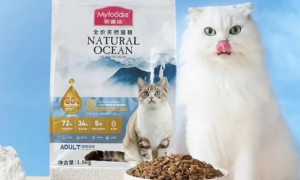 中国十大品牌猫粮