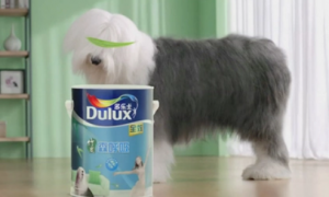 多乐士墙漆广告的狗狗品种