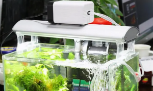 鱼缸水泵可以增氧吗