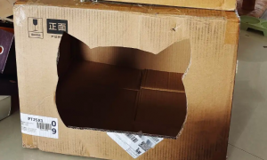 怎么用纸箱子做猫爬架