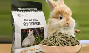 兔子一顿吃多少克兔粮