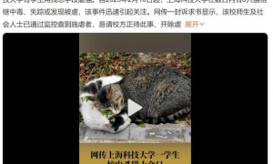 上海科大回应学生校内虐猫