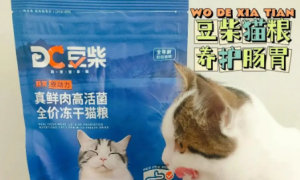 豆柴的猫粮是毒粮吗