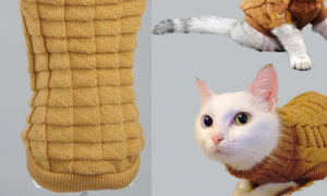 针织猫咪衣服教程是什么
