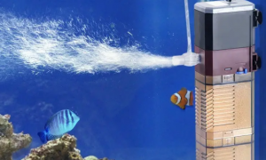 鱼缸循环水能增氧吗