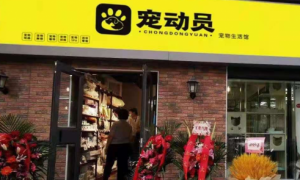 宠物店加盟排行上海