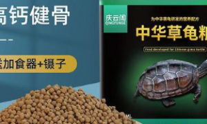 中华草龟龟粮多少钱