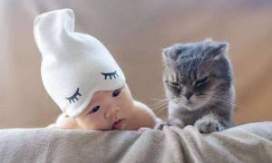 新生儿怕猫咪是为什么