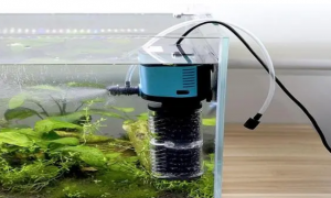 鱼缸增氧泵怎么安装