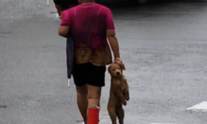 远看一位大妈在过马路，手里还拎着条狗，看清后：画面过于熟悉