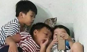 家里三个小鬼头在看手机，头顶却有只小猫在围观，真以为能看懂呢