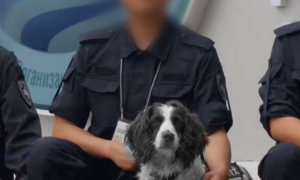 警官偶遇一只和去世警犬很像的狗，连名字都一样