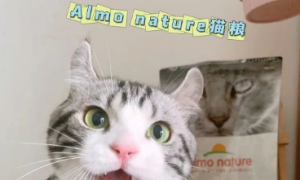 almo nature猫粮是什么档次