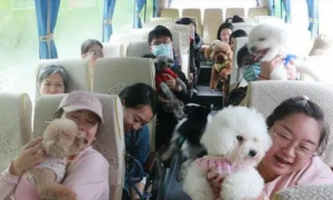 中国“它经济”持续升温 宠物旅行团兴起