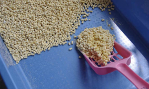 猫砂的生产流程