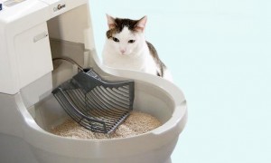 猫洁易猫砂盆有哪几款