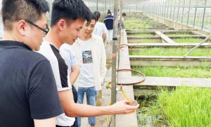 武汉25岁在读硕士“跨界”养龟，带领100多位老乡致富